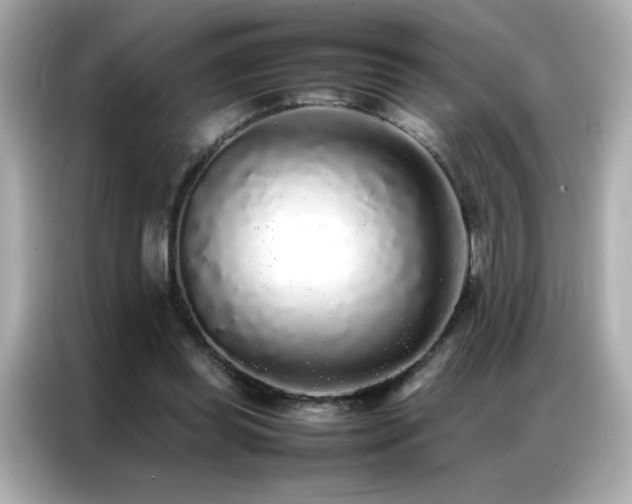 X0000087060349200704181303