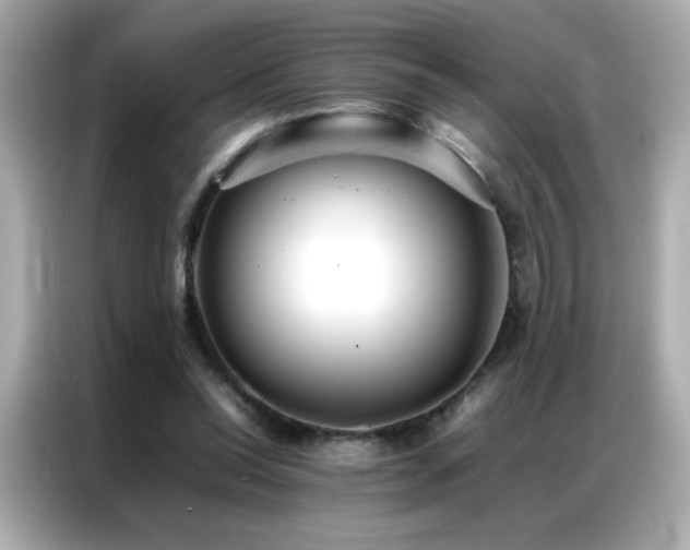 X0000087060350200704181303