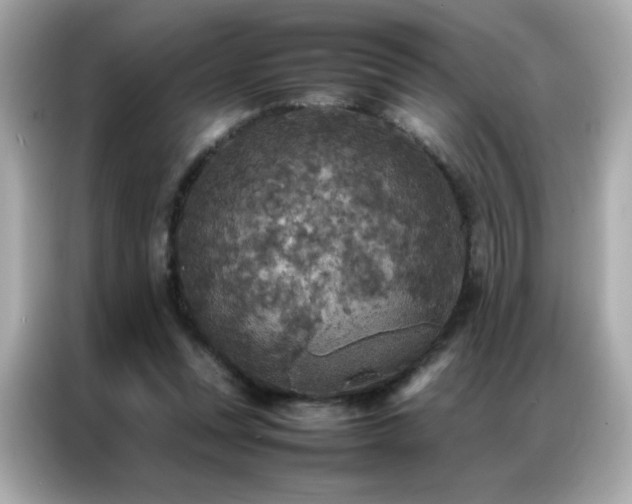 X0000087060351200704181303