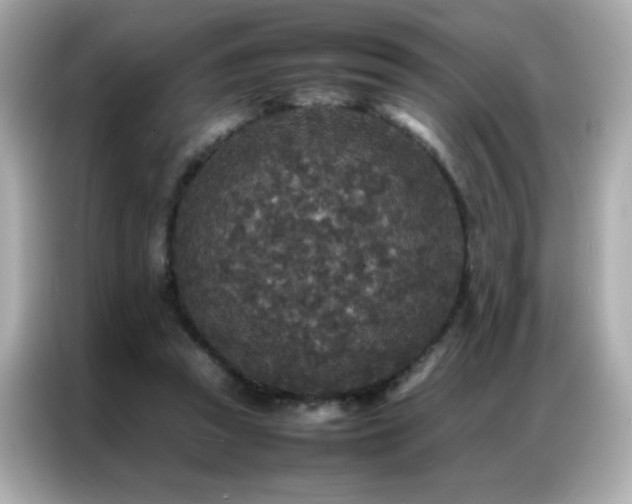 X0000087060353200704181303