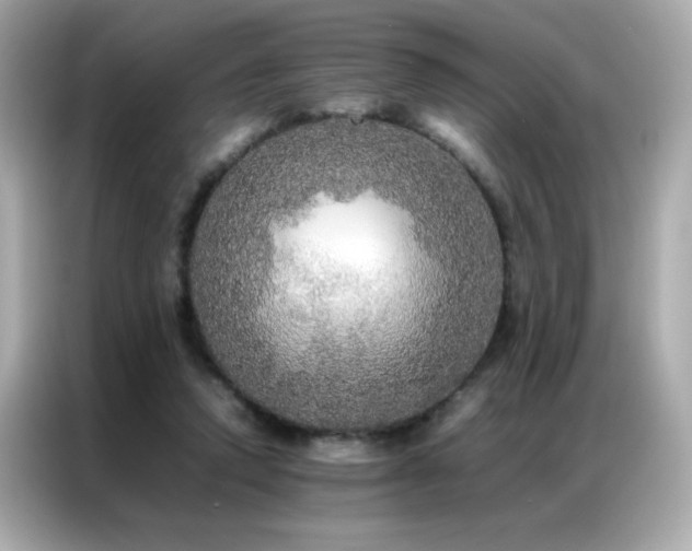 X0000087060354200704181303