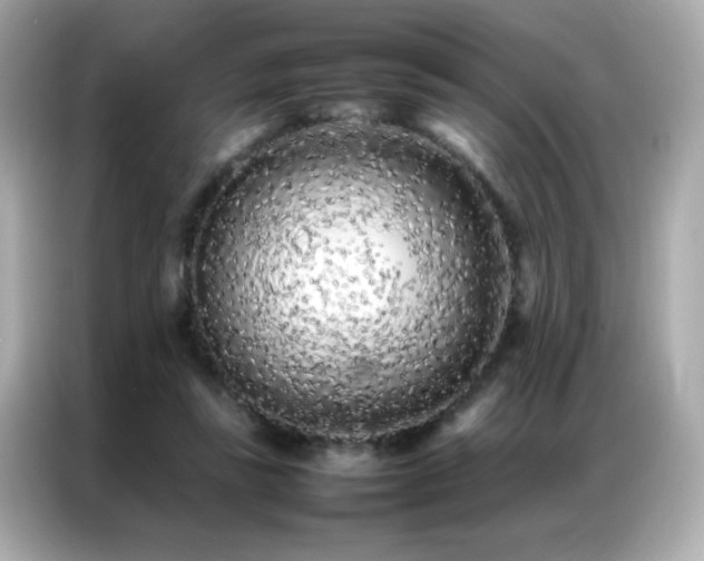 X0000087060355200704181303