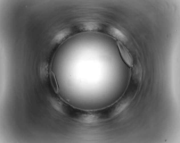 X0000087060356200704181303