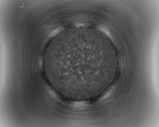 X0000087060357200704181303