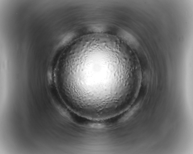 X0000087060358200704181303