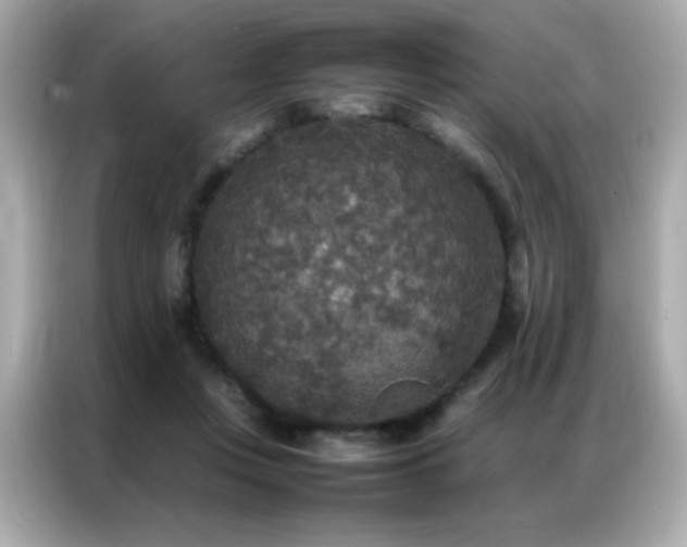 X0000087060359200704181303