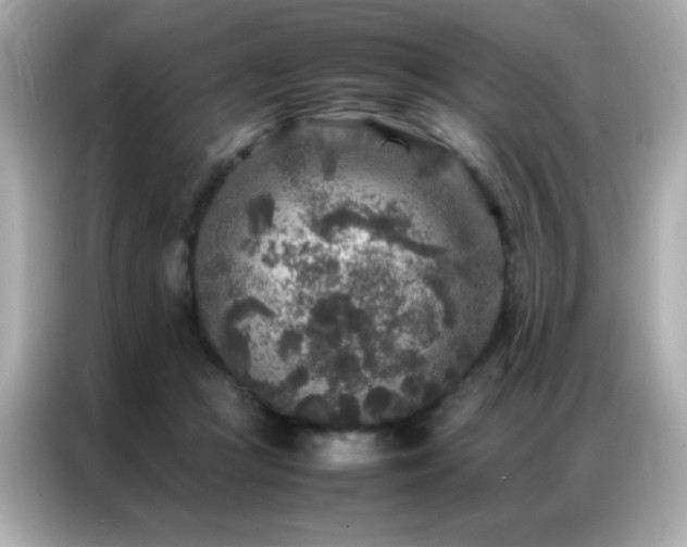 X0000087060361200704181303