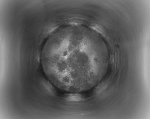 X0000087060363200704181303