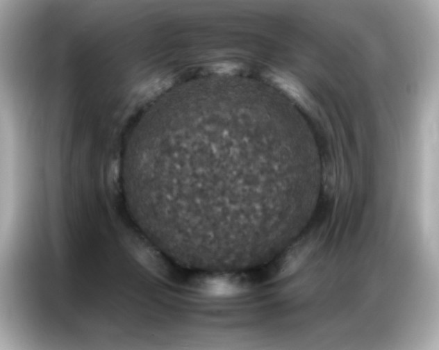 X0000087060365200704181303