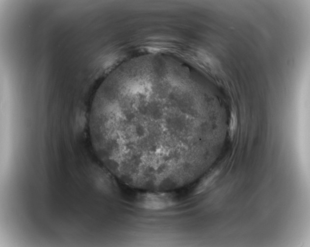 X0000087060367200704181303