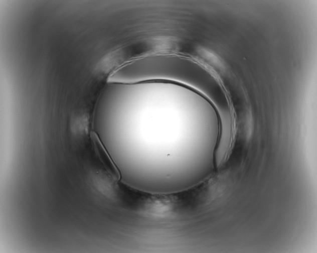 X0000087060368200704181303