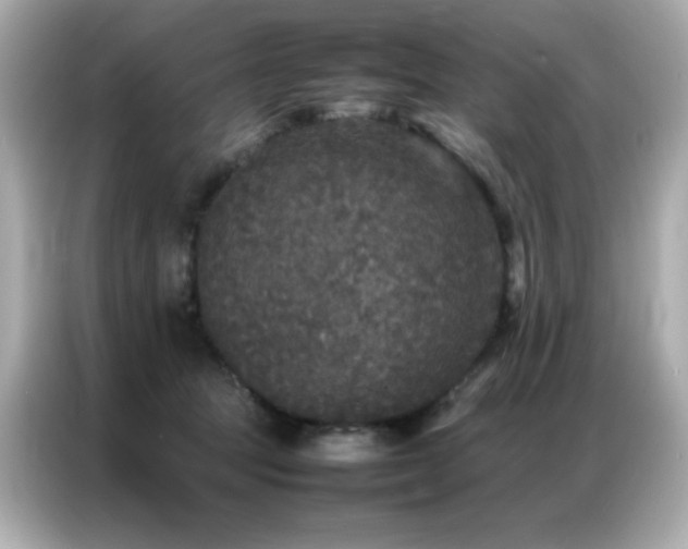 X0000087060369200704181303