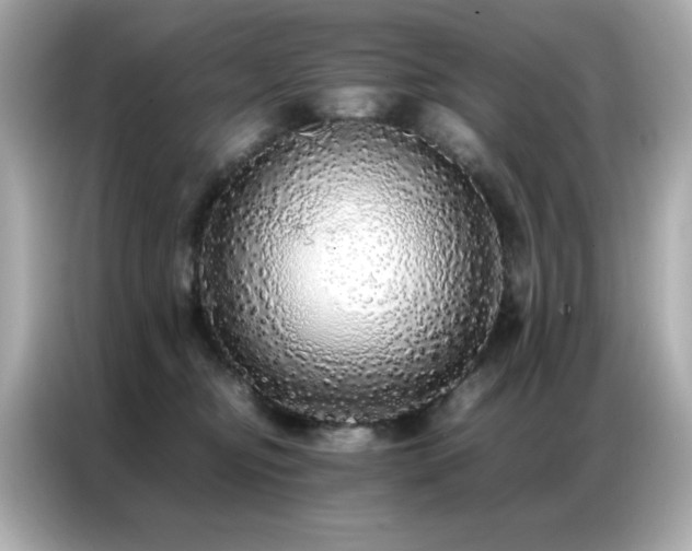 X0000087060374200704181303