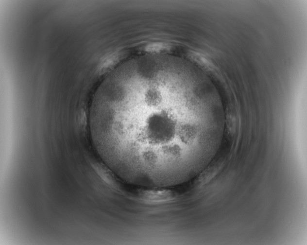 X0000087060375200704181303