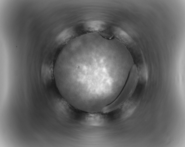 X0000087060376200704181303