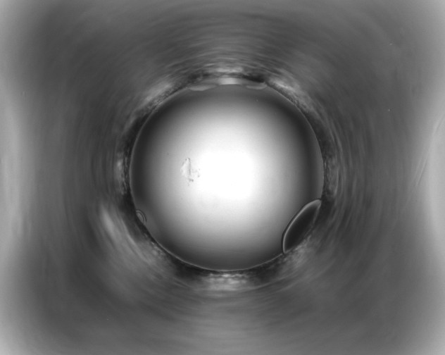 X0000087060378200704181303