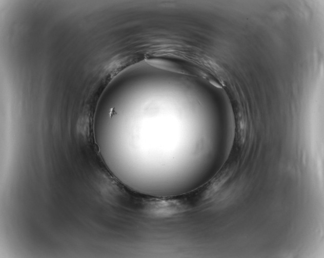 X0000087060379200704181303