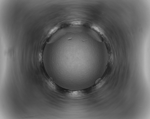 X0000087060382200704181303