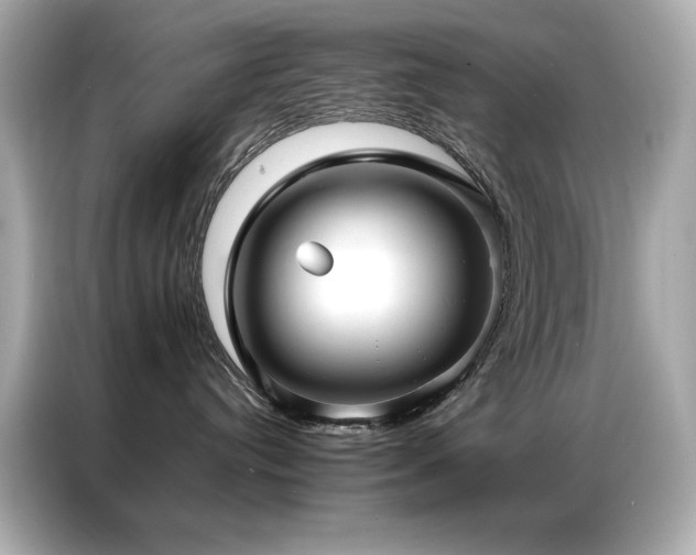 X0000087060384200704181303