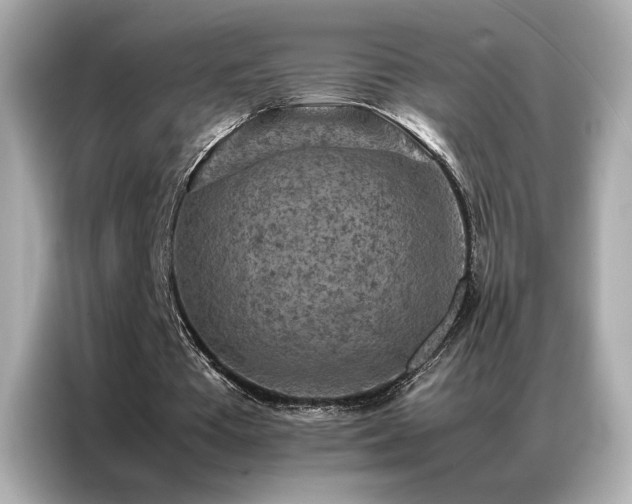 X0000087060385200704181303