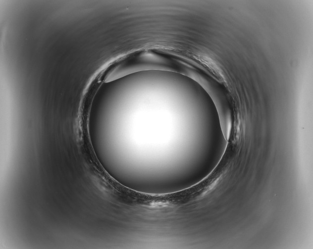 X0000087060388200704181303