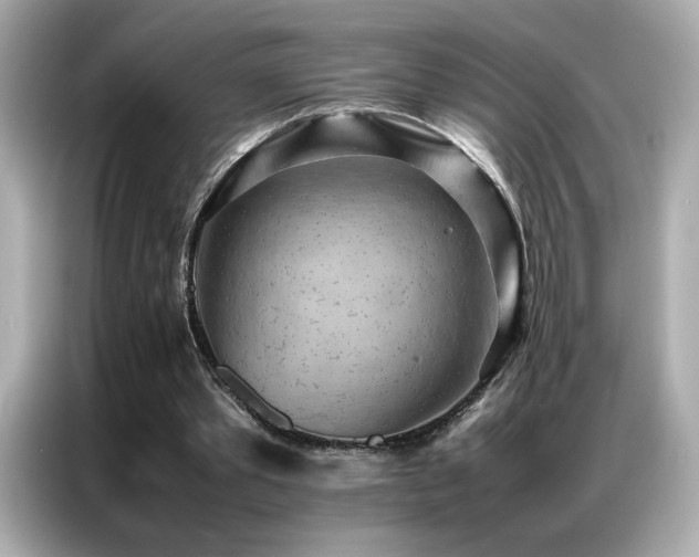 X0000087060389200704181303