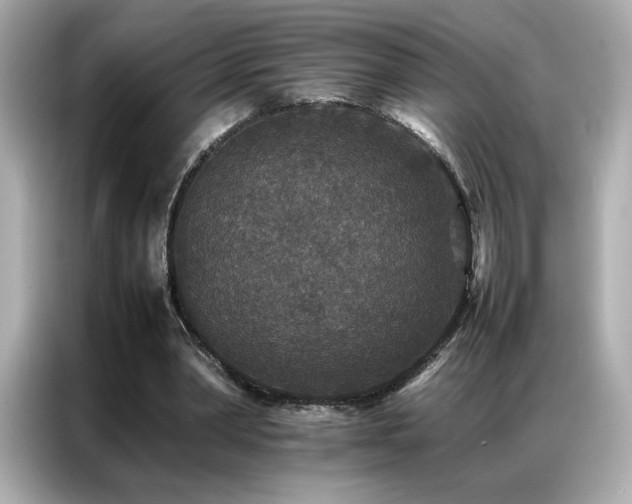 X0000087060390200704181303