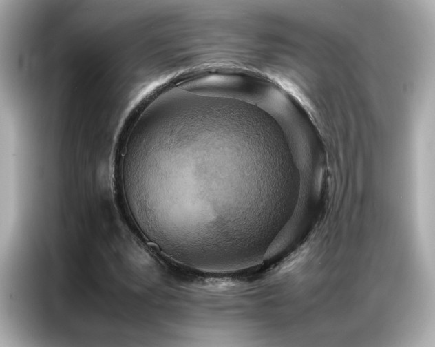 X0000087060391200704181303