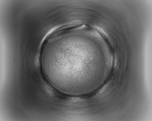 X0000087060392200704181303