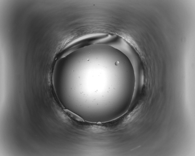 X0000087060393200704181303