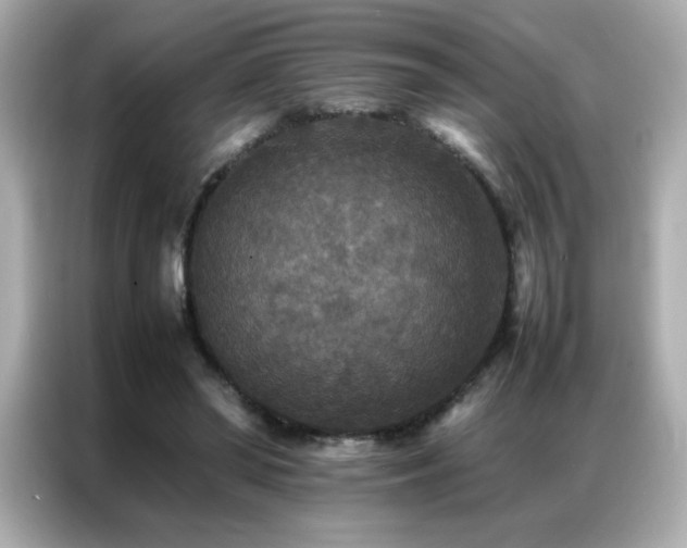 X0000087060398200704181302