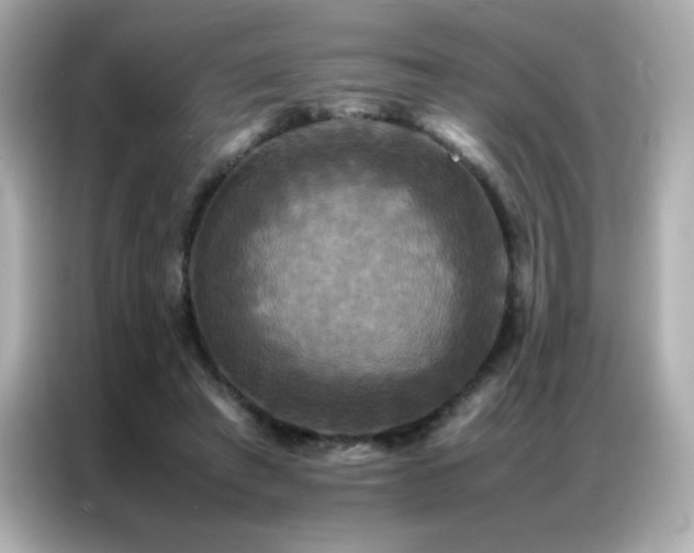 X0000087060401200704181302