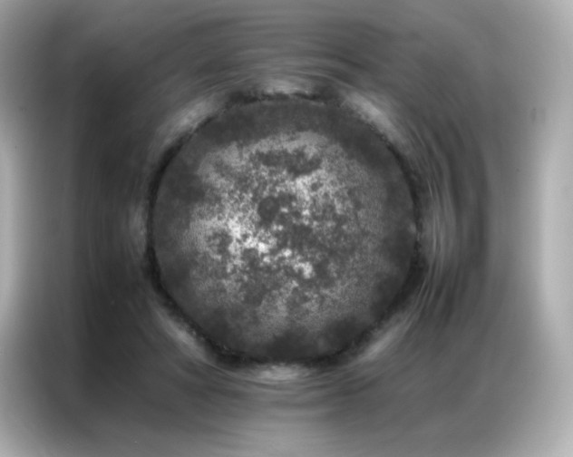 X0000087060402200704181302