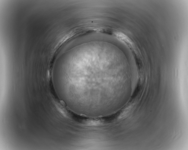 X0000087060405200704181302