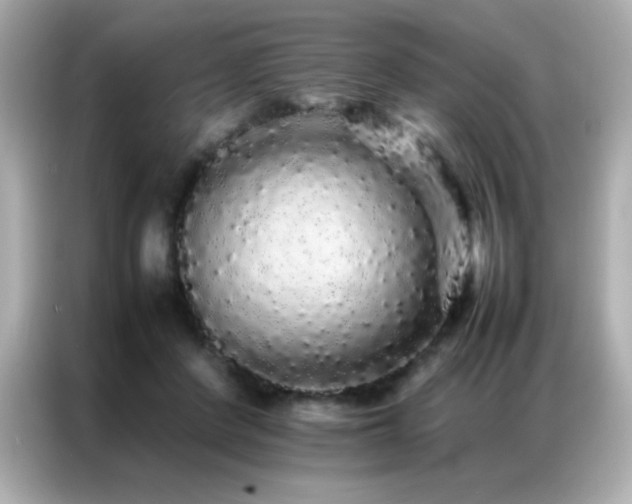 X0000087060408200704181302