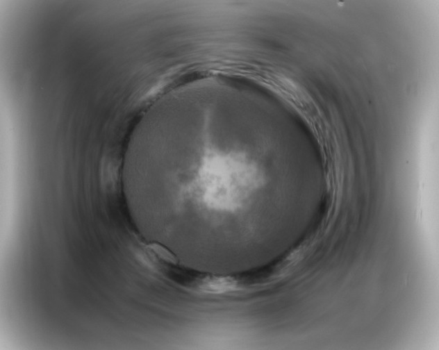 X0000087060409200704181302