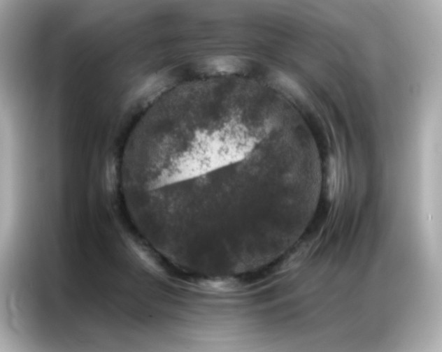 X0000087060410200704181302