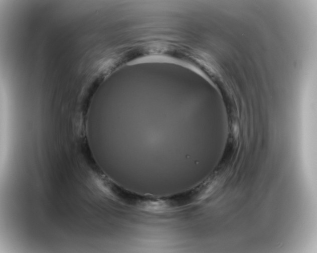 X0000087060411200704181302