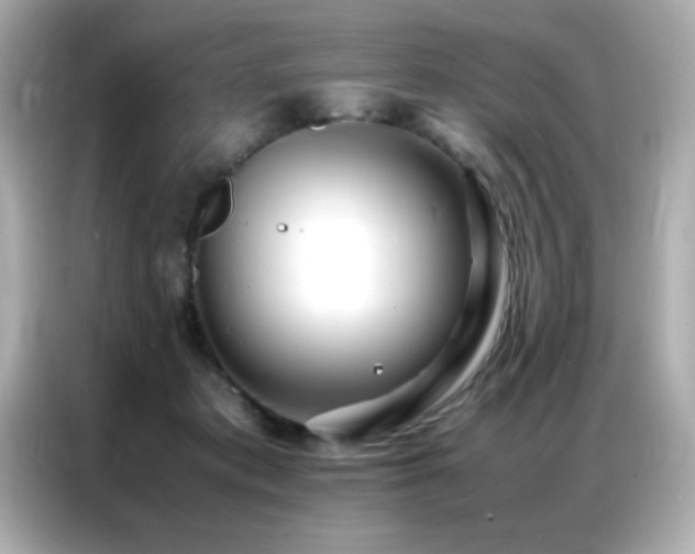 X0000087060413200704181302