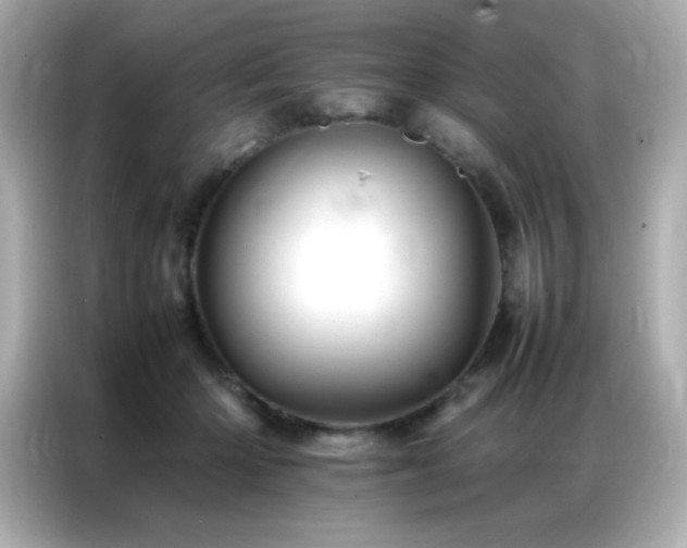 X0000087060414200704181302