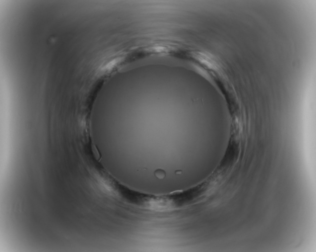 X0000087060415200704181302