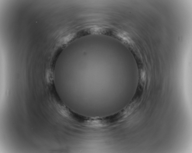 X0000087060419200704181302