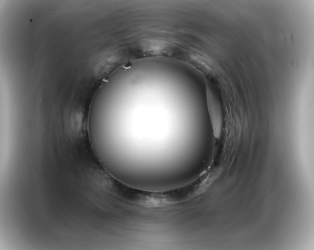 X0000087060420200704181302