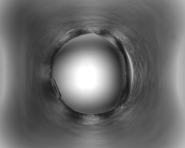 X0000087060421200704181302