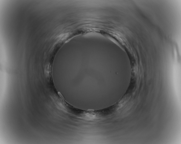 X0000087060423200704181302