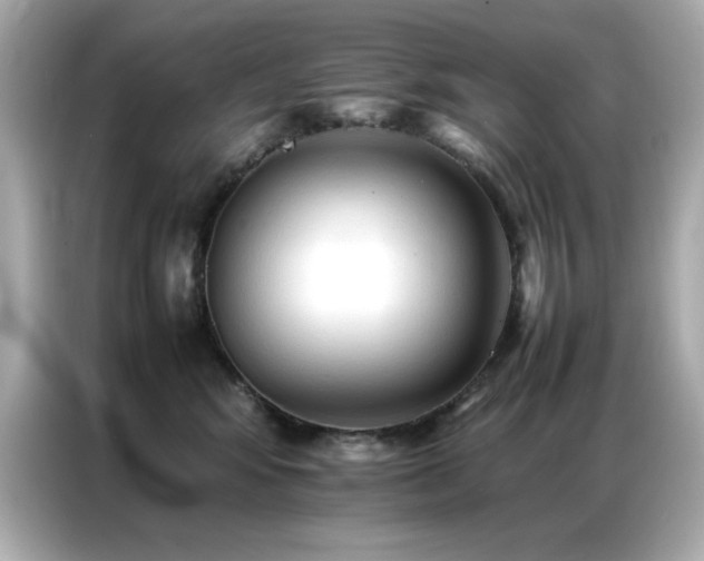 X0000087060424200704181302