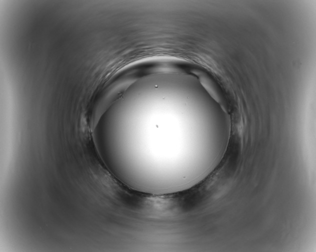 X0000087060425200704181302