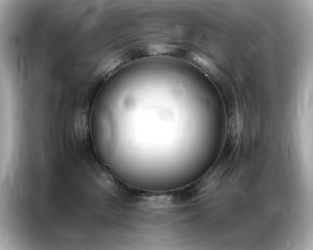 X0000087060426200704181302