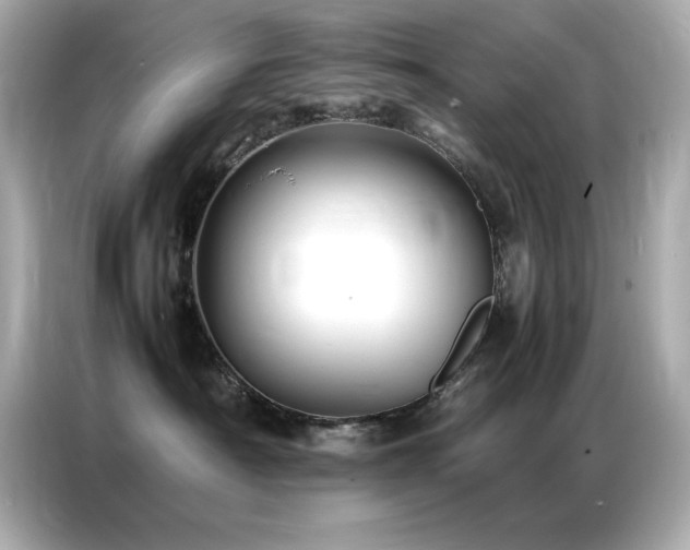 X0000087060430200704181302