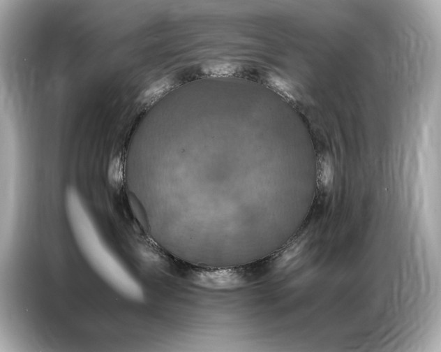 X0000087060431200704181302